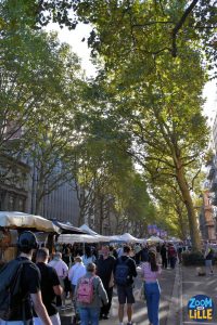 Braderie de Lille 2026 - 39