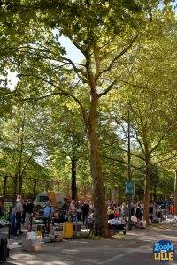 Braderie de Lille 2026 - 85