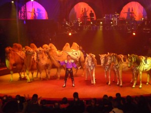 cirque_38_20100313_1999600447