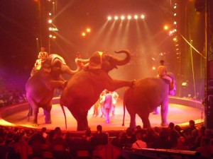 cirque_41_20100313_2016178606