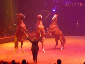 cirque_49_20100313_2095789862
