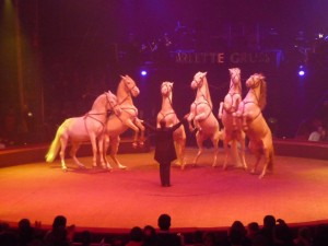 cirque_50_20100313_1010105698