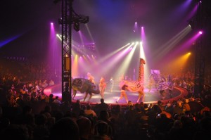 Cirque Arlette Gruss 2011