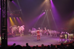 Cirque Arlette Gruss 2011