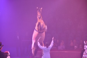 Cirque Arlette Gruss 2011