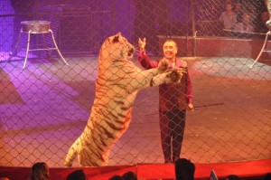Cirque Arlette Gruss 2011