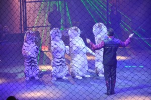 Cirque Arlette Gruss 2011