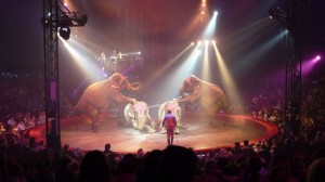 Cirque Arlette Gruss 2011