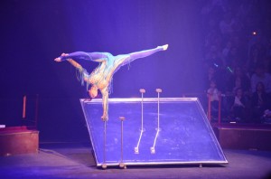 Cirque Arlette Gruss 2012