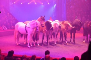 Cirque Arlette Gruss 2012
