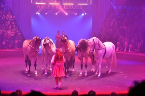Cirque Arlette Gruss 2012