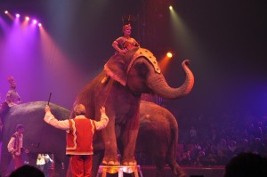 Cirque Arlette Gruss 2012
