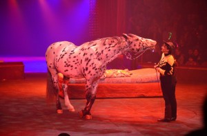 Cirque Arlette Gruss 2012