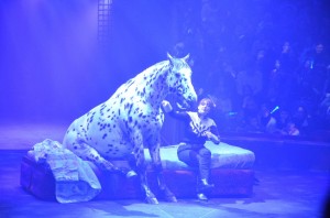 Cirque Arlette Gruss 2012