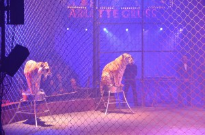 Cirque Arlette Gruss 2012