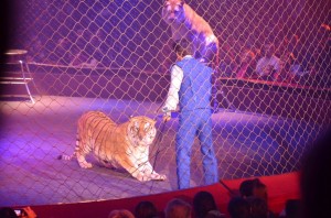 Cirque Arlette Gruss 2012