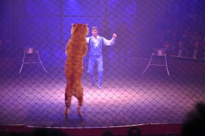 Cirque Arlette Gruss 2012