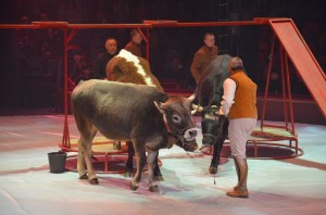 cirque_52_20140320_1404594543