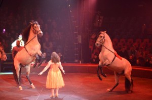 cirque_56_20140320_1498989903