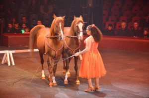 cirque_57_20140320_1048583532