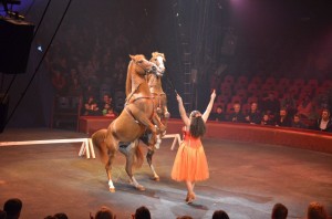 cirque_58_20140320_1340842651