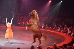 cirque_59_20140320_2095265632