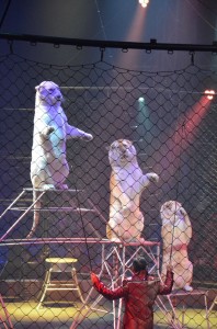 cirque_69_20140320_1263864680