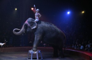 cirque_75_20140320_1547360571