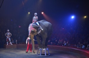 cirque_76_20140320_1598964085