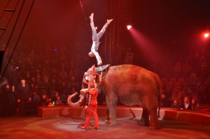 cirque_77_20140320_1518009108
