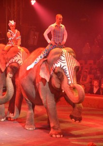cirque_78_20140320_1949394008