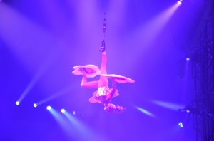 Cirque Arlette Gruss 2015 13