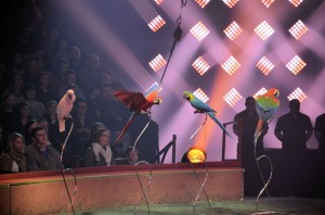 Cirque Arlette Gruss 2015 15