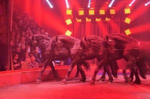Cirque Arlette Gruss 2015 28