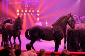 Cirque Arlette Gruss 2015 29