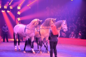 Cirque Arlette Gruss 2015 30