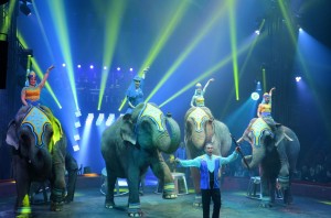 Cirque Arlette Gruss 2015 47 