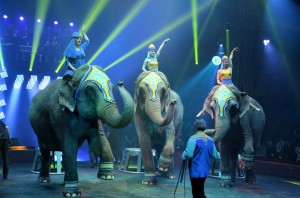 Cirque Arlette Gruss 2015 48 