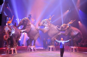 Cirque Arlette Gruss 2015 49 