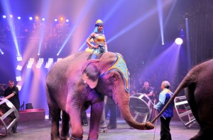 Cirque Arlette Gruss 2015 50 