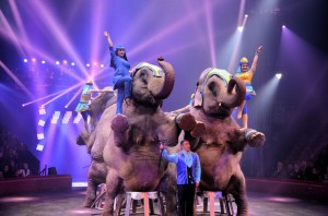 Cirque Arlette Gruss 2015 51 