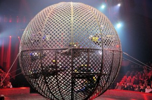 Cirque Arlette Gruss 2015 59 