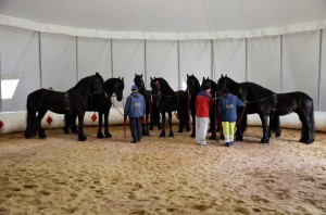 Zoo - Cirque Arlette Gruss 2015 15
