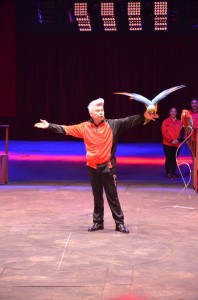 Répétitions Cirque Arlette Gruss 2015 19