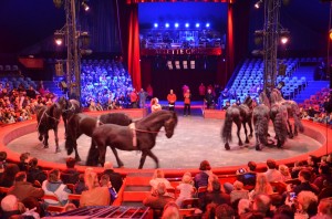 Répétitions Cirque Arlette Gruss 2015 20