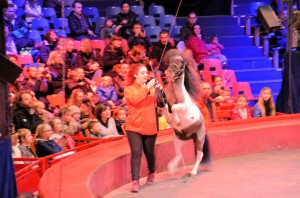 Répétitions Cirque Arlette Gruss 2015 23