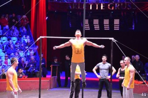 Répétitions Cirque Arlette Gruss 2015 27