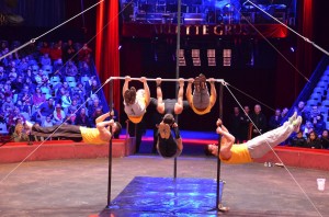Répétitions Cirque Arlette Gruss 2015 28