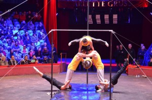 Répétitions Cirque Arlette Gruss 2015 30