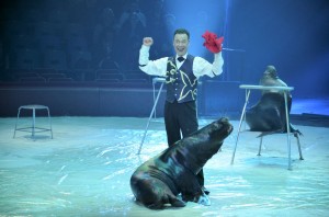 Cirque Arlette Gruss 2016 07   
